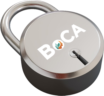 BoCA Security Lock